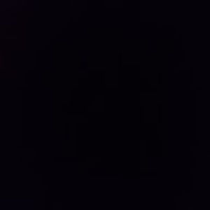 Meet your Posher, Chase